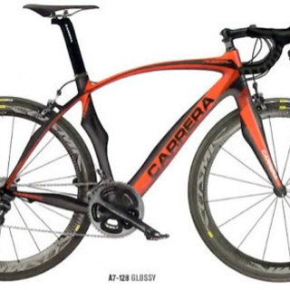 CARRERA PHIBRA EVO XSサイズ