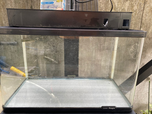 ６０センチ水槽　曲げガラス　コトブキ　プログレ600