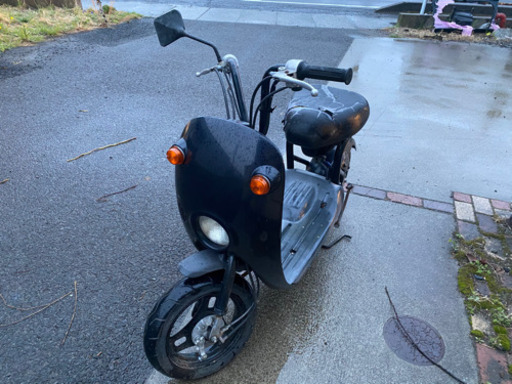 スズキ　チョイノリ