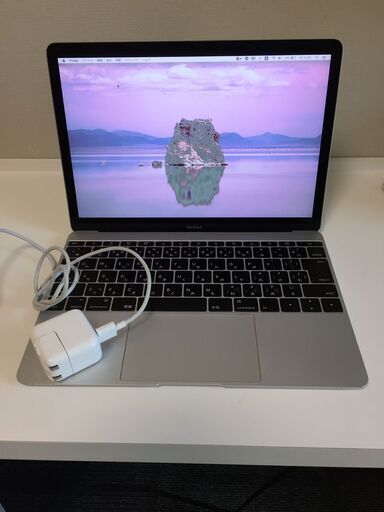 MacBook (Retina, 12-inch, Early 2016)ジャンク品