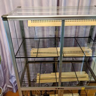 室内温室の画像