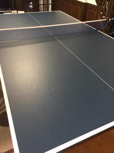 イグニオ 卓球台 国際基準サイズ(防球ネット付き)