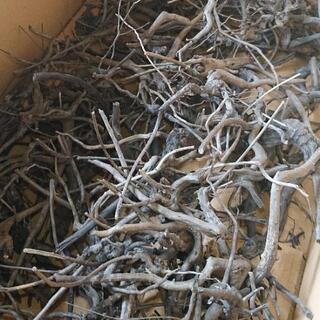アク抜き済み❗ブランチ 枝 流木 Sサイズ (グレーブランチ ソネケミファ )の画像