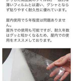 【ラスト】ウィンドフィルム🐈の画像