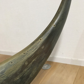 水牛のツノの画像