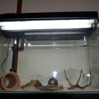 売約済 60㎝水槽セット　水槽台付き　引き取り限定の画像