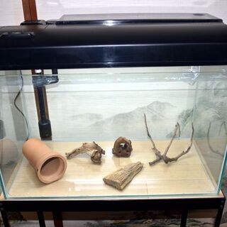 売約済 60㎝水槽セット　水槽台付き　引き取り限定の画像