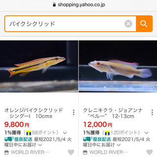 パイクシクリッド/4,000円
