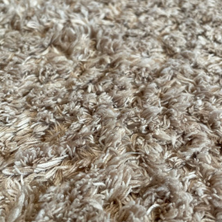 ニトリ、アクセントラグの画像