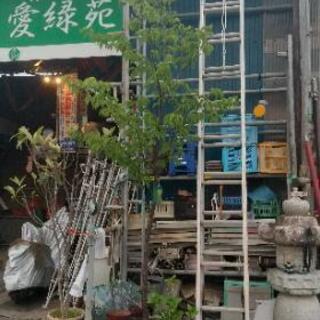 🏫二連梯子🚧