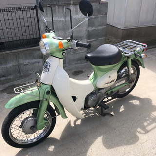 リトルカブの画像