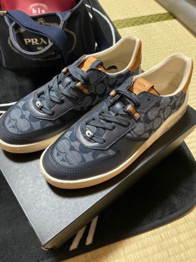 coach靴　期間限定カラー?新品