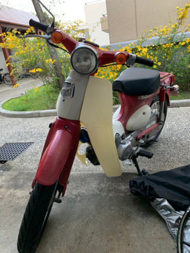 リトルカブ　4速　セル付き