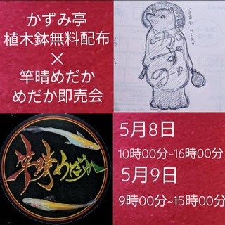メダカ 即売会&植木鉢無料配布