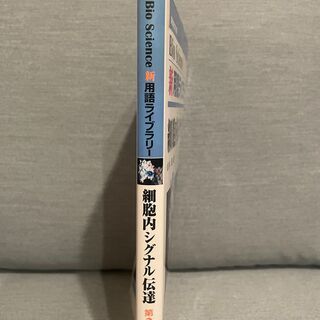 細胞内シグナル伝達の画像