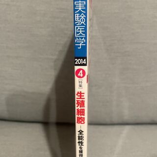 実験医学(2014)Vol.32No.6 生殖細胞の画像