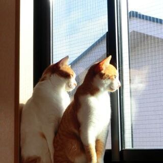 恋カツ・婚カツのノウハウ。伝えていきます。静岡編