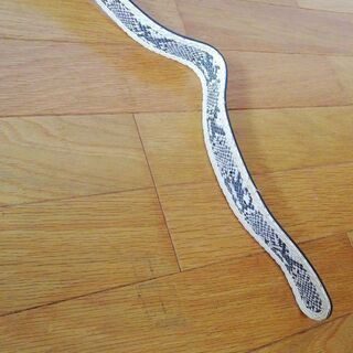 パイソン柄　ベルトの画像