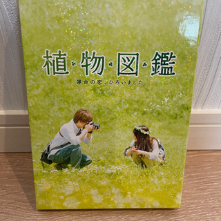 植物図鑑 DVD 岩ちゃん 初回生産版