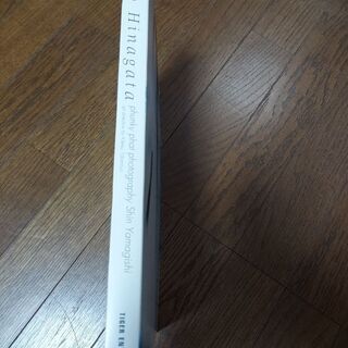 かなり昔の雛形あきこ写真集の画像