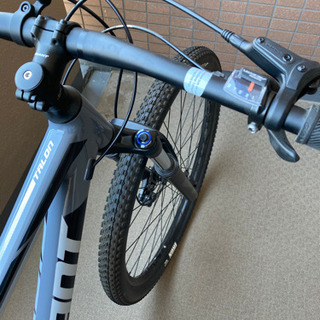Giant Talon 29 (グレー) Mサイズ 29”