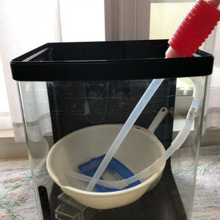 決まりました 水槽 ニッソー ルームメイト