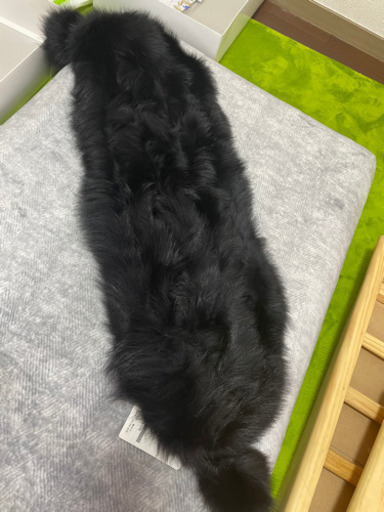 フォックスファー  マフラー 新品未使用