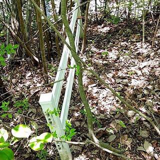 加東市社町の別荘地 - 土地販売/土地売買