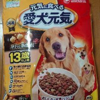 【新品未開封】ドッグフード 愛犬元気 5.5kg 13歳以上用