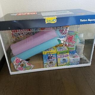 ハムスター用飼育セット！