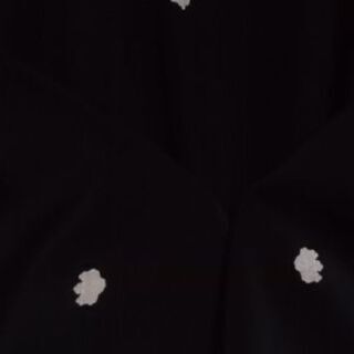 留袖と長襦袢のセットの画像
