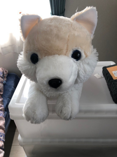 もふっとくつろぎ　大陸ちゃん