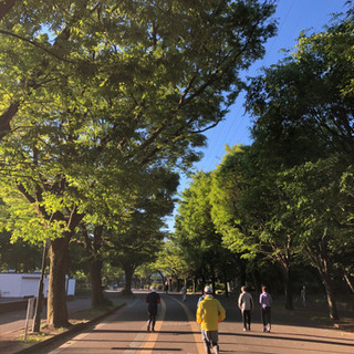 駒沢公園でランニングしませんか？😆