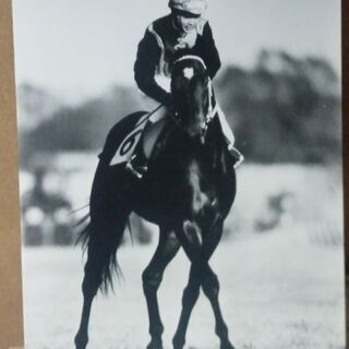 シンザンの白黒パネル