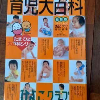 シンプルな抱っこ紐　エイテックス　おまけつきの画像