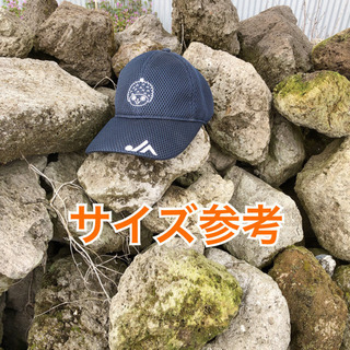 軽石(大) 園芸　ドライガーデン 盆栽　1個　¥100の画像