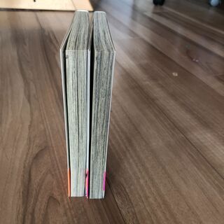 アリアンロッド・サガ 佐々木あかね 1、2巻の画像