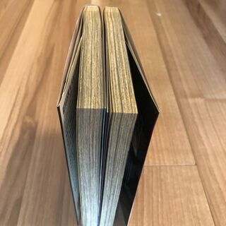 夢幻戦士ヴァリス ZOL 1～2巻の画像