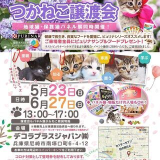 ★大好評！ねこ好きさん集まれ！『つかねこ譲渡会＆子猫まつり』【毎...