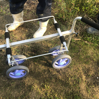 苺を運ぶ台車の画像