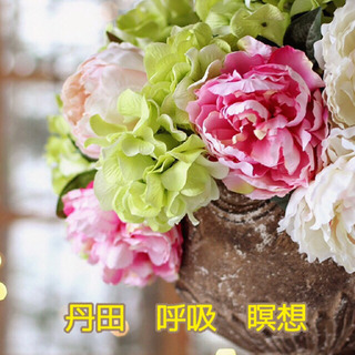 誰でもできる！丹田　呼吸　瞑想。腸と脳のトレーニング始めませんか？