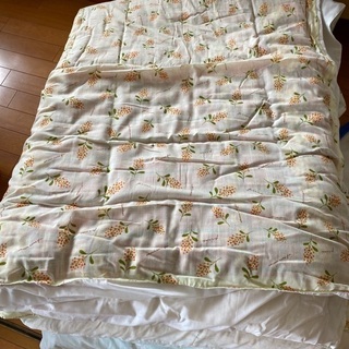 枕：ピロー　座布団　ブランケット/毛布　掛け布団　シングルの画像