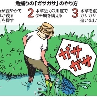 ガサガサしませんか？注！文章には冗談が一部含まれておりますが、募集の品質には影響はございません。の画像