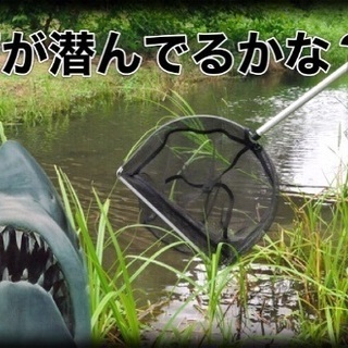 ガサガサしませんか？注！文章には冗談が一部含まれておりますが、募集の品質には影響はございません。 - 水戸市