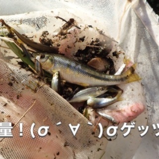 ガサガサしませんか？注！文章には冗談が一部含まれておりますが、募集の品質には影響はございません。 − 茨城県