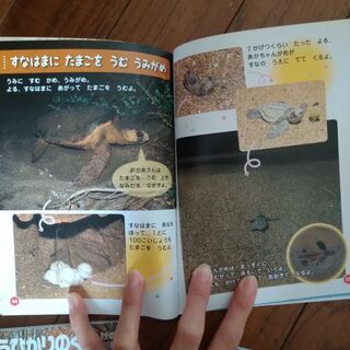 春夏秋冬　4冊　ひかりのくに　の画像