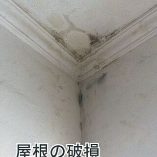 積雪・強風・自然災害が原因での家屋の破損や雨漏りなど・・給付金がおりるか無料でお調べします！！ - 福岡市
