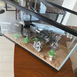 水槽60cm