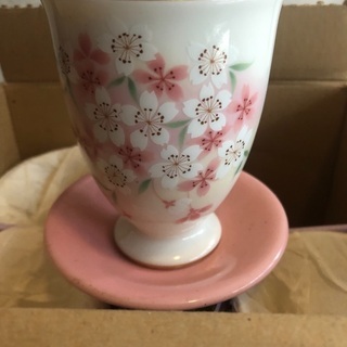 フリーカップ新品未使用