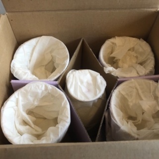 フリーカップ新品未使用の画像